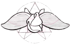 What the Chrysanthemum Knows Logo by Autumn Rennie 2016