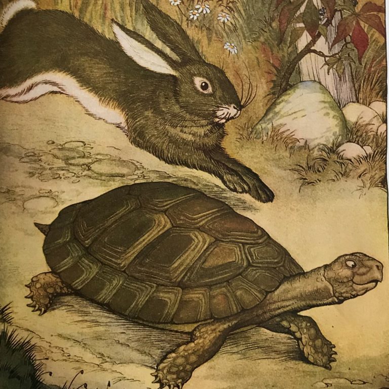 “THE HARE & THE TORTOISE”